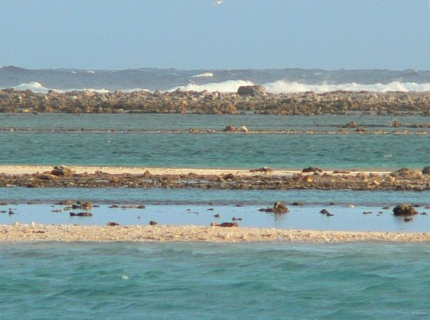 48- L'ocean dechaine derriere le recif 